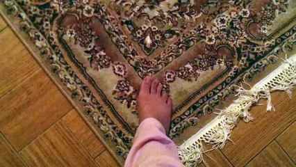 Un chat effrayé par le tapis