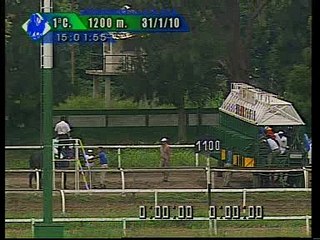 HIPODROMO LA PLATA 31/01/10 1