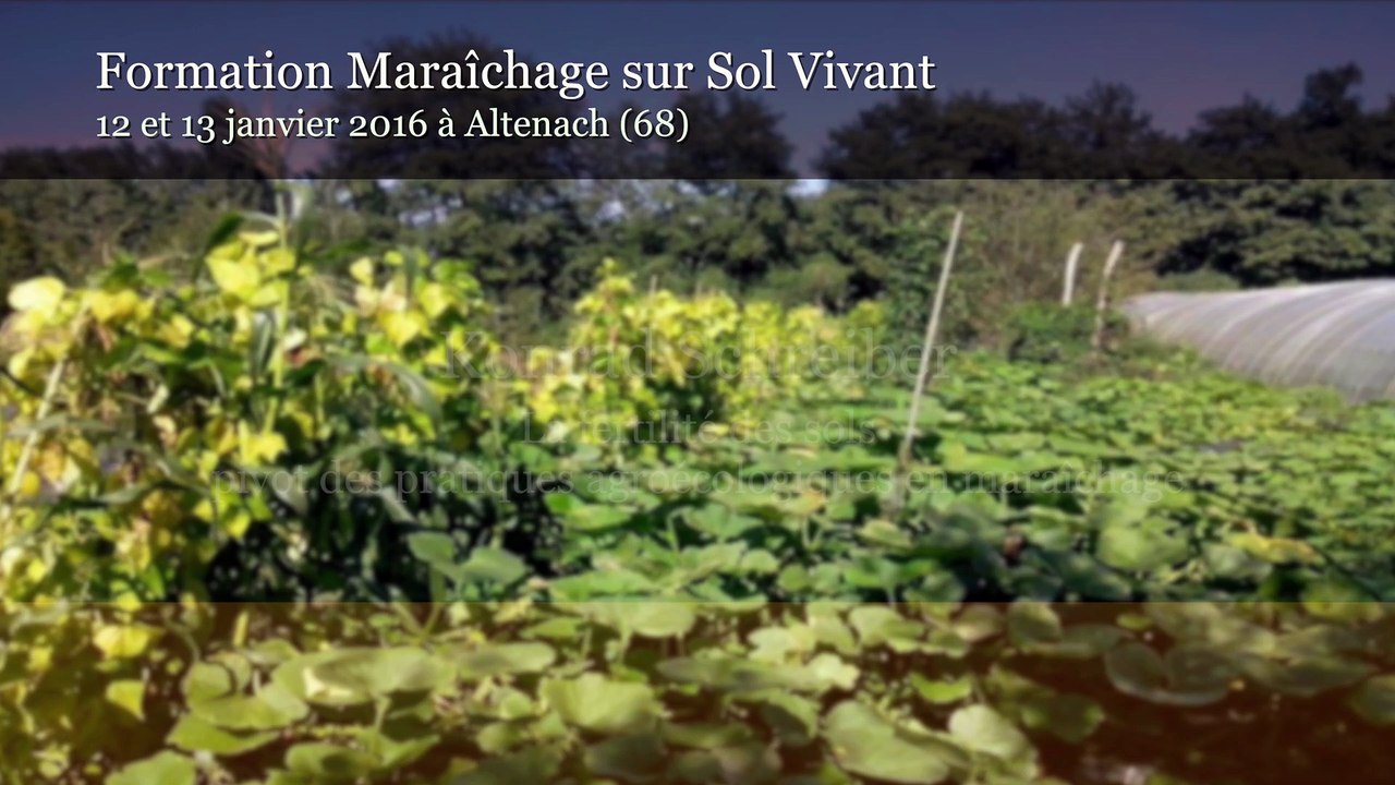 Formation MSV K Schreiber 01/2016 - Partie 10 Biologie du sol
