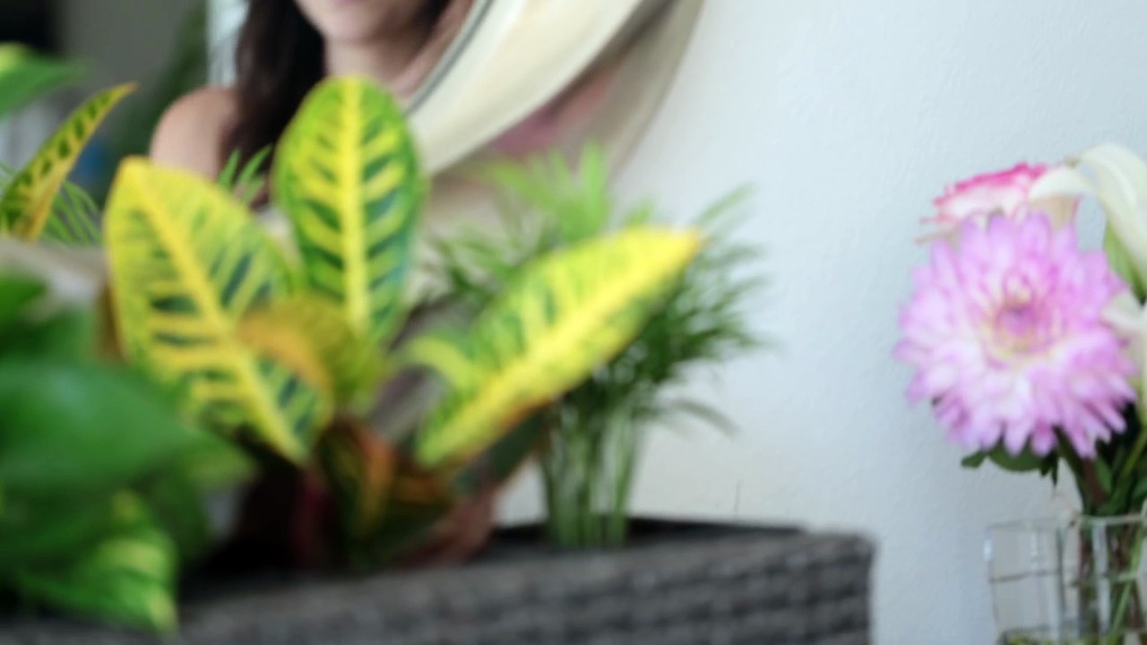 DIY Clothing Drawer Organization Tips   Rachel Talbott