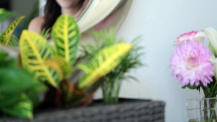 DIY Clothing Drawer Organization Tips   Rachel Talbott