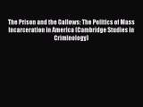 Read The Prison and the Gallows: The Politics of Mass Incarceration in America (Cambridge Studies