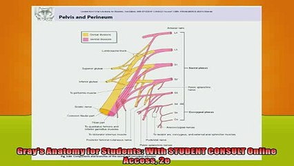 FREE PDF  Grays Anatomy for Students With STUDENT CONSULT Online Access 2e READ ONLINE