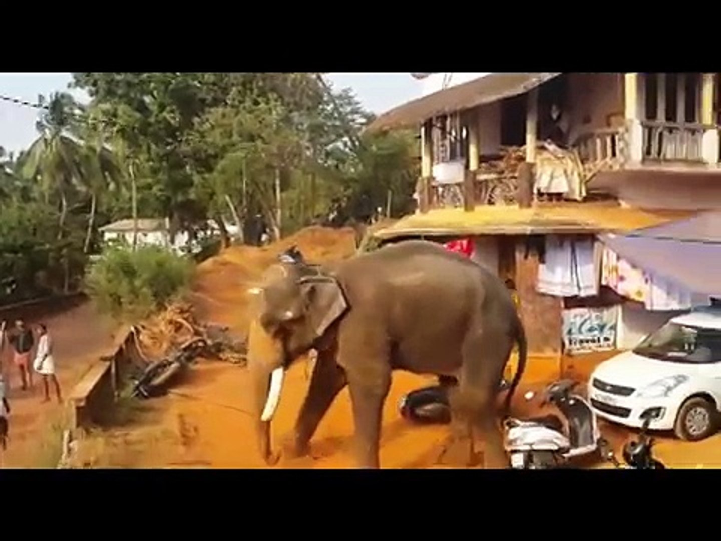 Elephant attack in Valanchery Kerala - Latest News - video Dailymotion