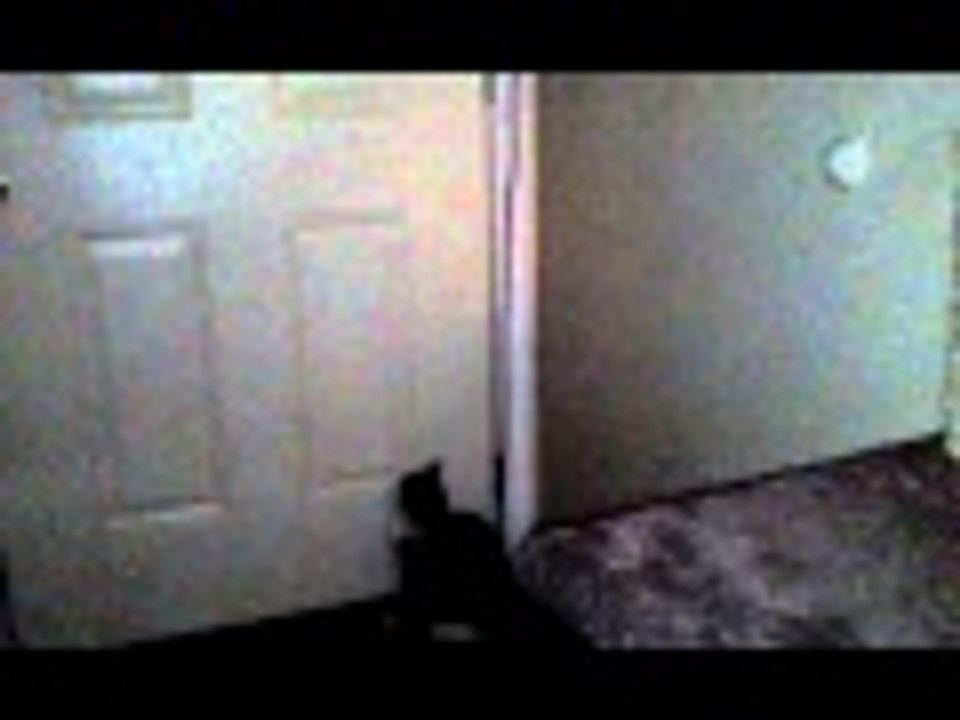 Angel try to hard! :)