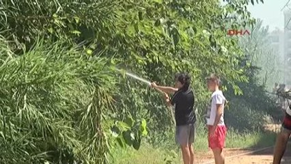 Antalya'da Sazlık Alanda Yangın