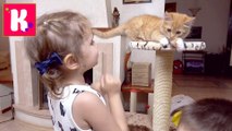 VLOG Кошечка Мурка с Катей в салоне красоты, грюминг, подарки от магазина для животных , смотрите наше новое видео 2016