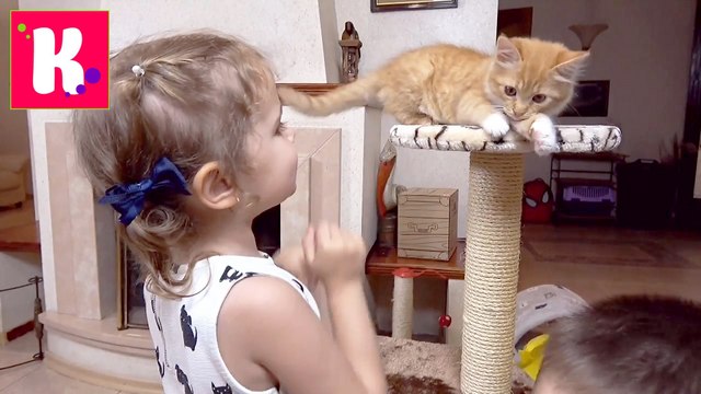 VLOG Кошечка Мурка с Катей в салоне красоты, грюминг, подарки от магазина для животных , смотрите наше новое видео 2016