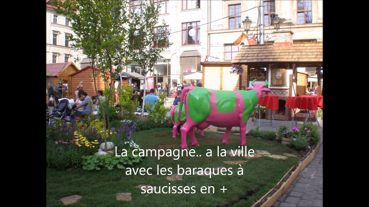 pologne 2015nordi v3