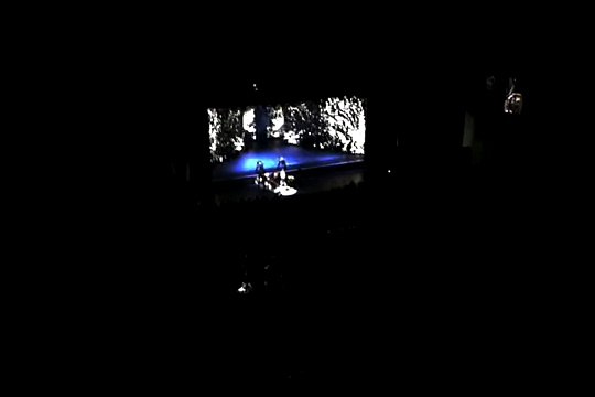 Lady GaGa teeth radio city 1-23-2010