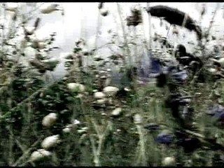 Weepers Circus - Teaser album "Tout n'est plus si noir"