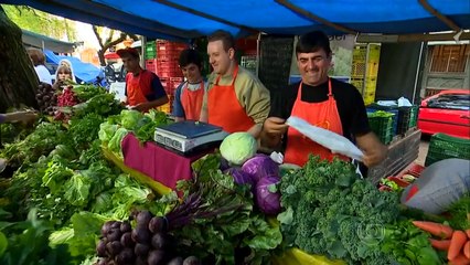 Alimentos Orgânicos