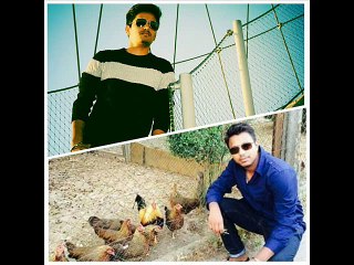 Kadi te has bol ve