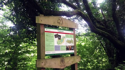 CYCLING TAFF TRAIL FROM BRECON TO CARDIFF BAY