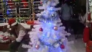 Christmas Party 25-12-2010 - Part 1