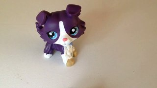 Lps bad luck (Trailer) **DISCONTINUED**