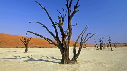 تلاوة خاشعه من سورة طـه لشيخ #عبدالرحمن_العوسي من آيه ١٠٤ الى آية ١١٤