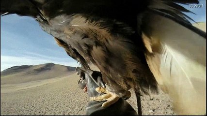 Sobrevivendo na Tribo episodio 5 Águias Assassinas