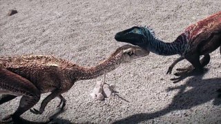 Dinosaur ROMANCE