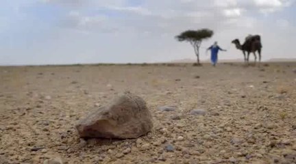 Инстинкт выживания 08. Выжженная земля (2015)