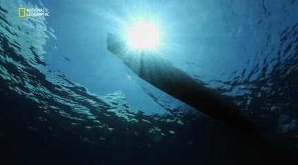 Инстинкт выживания 06. Смертельные воды (2015)