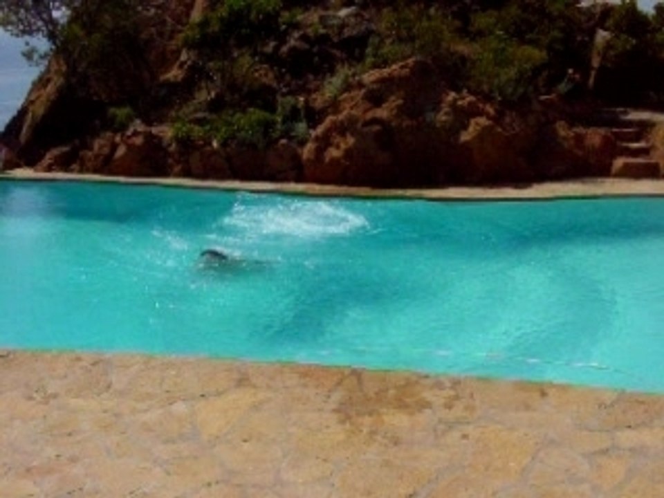 Piscine kick la pointe