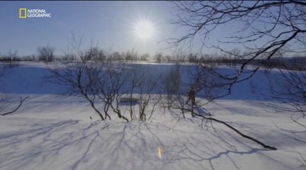 Инстинкт выживания 03. Убийственный холод (2015)