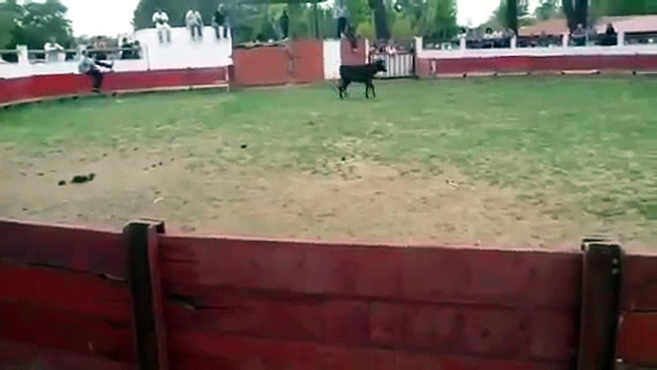 Il tente le diable en voulant traverser la corrida