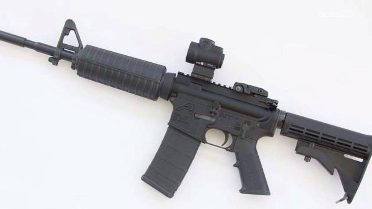 You Can Buy An Assault Rifle Faster Than Adopting A Pet