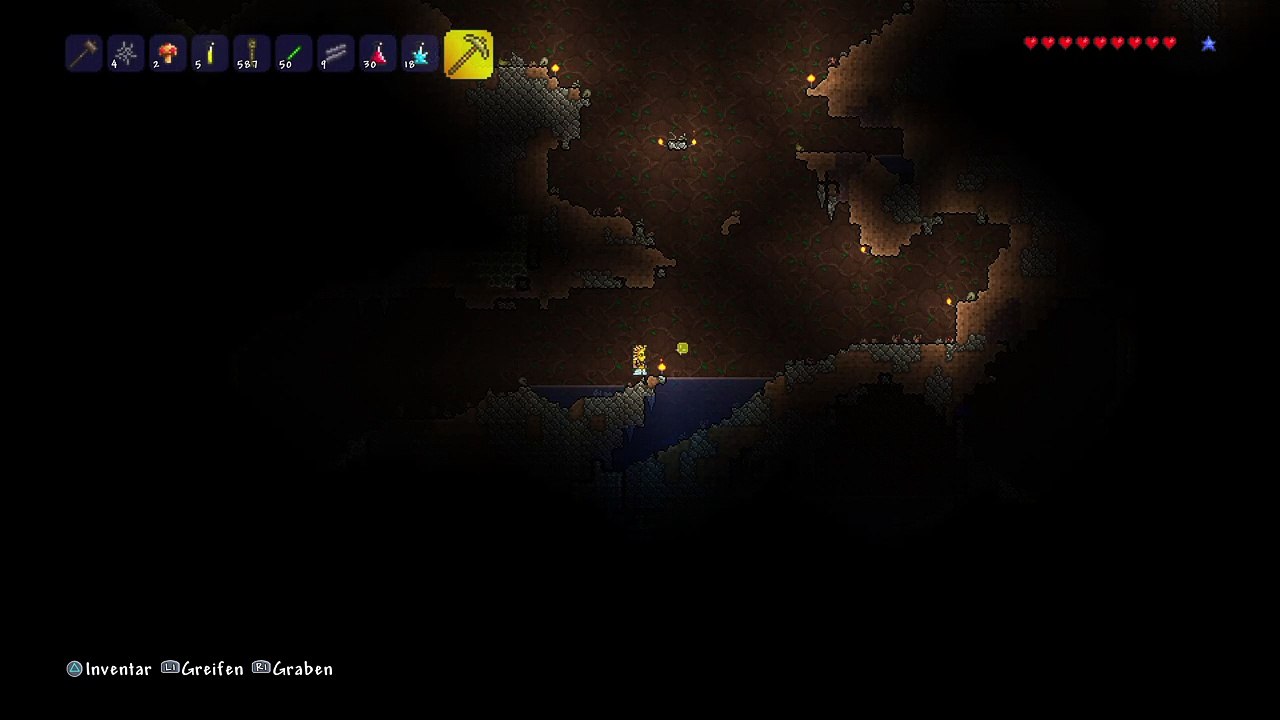 Terraria bug 31.5.16