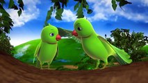 Chitti Chilakamma Parrots 3D Animation Telugu Rhymes for children with lyrics