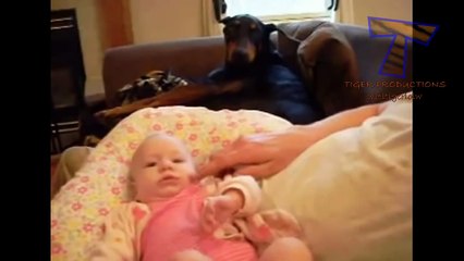 Funny dogs jealous of babies - Cute dog & baby compilation