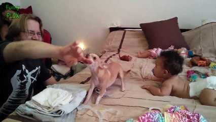 Funny Dogs Protecting Babies Compilation 2015