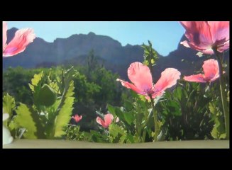 FUNNY EASTER SONG  Cute Singing Puppy Dog!