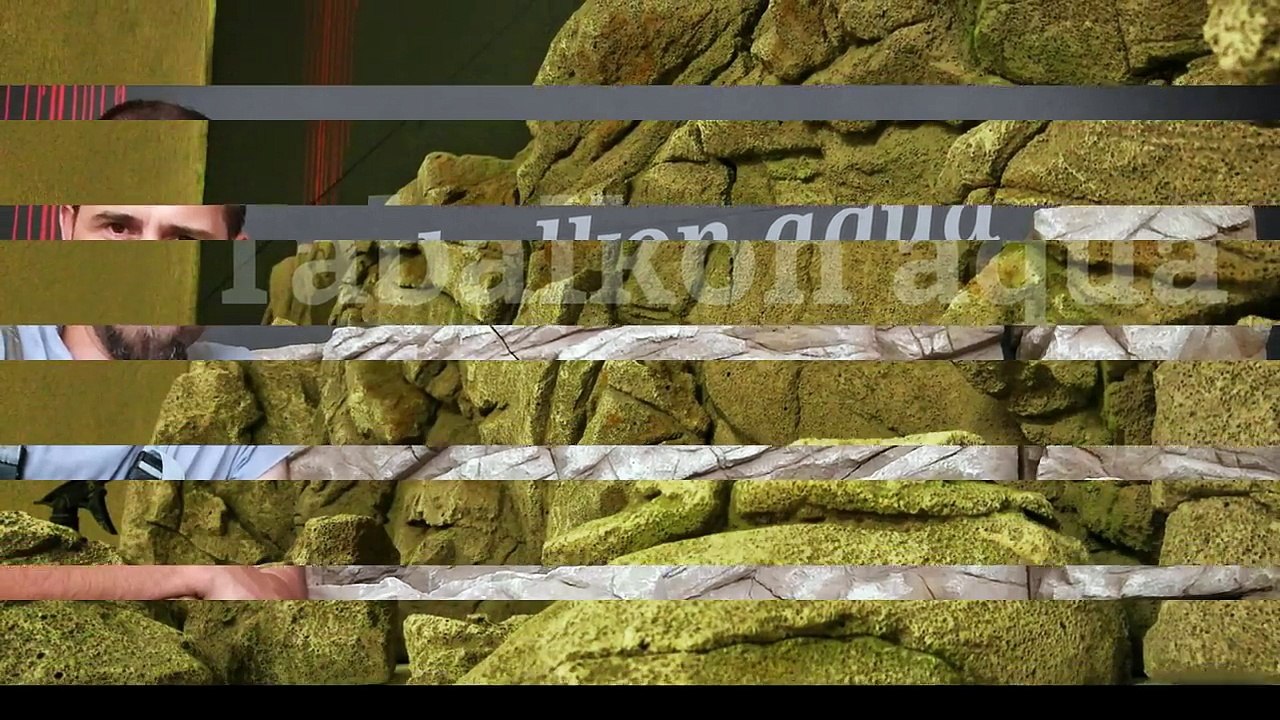 akvaryum-fon-tabalkon--aquarium-background