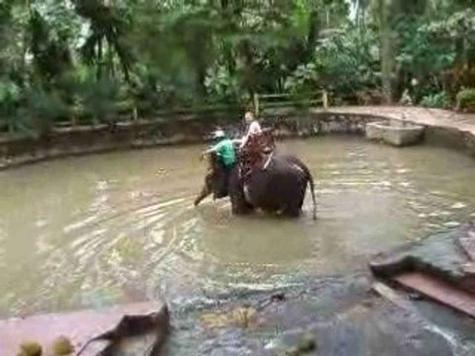 Indonesie - Bali - Balade a dos d'elephants - Vidéo Dailymotion