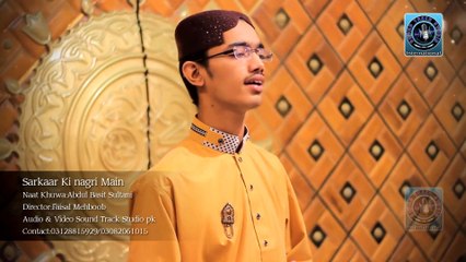 Sarkaar Ki Nagri Main (Abdul Basit Sultani) 2016