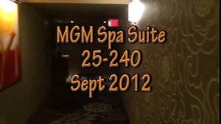 MGM Suite 25-240