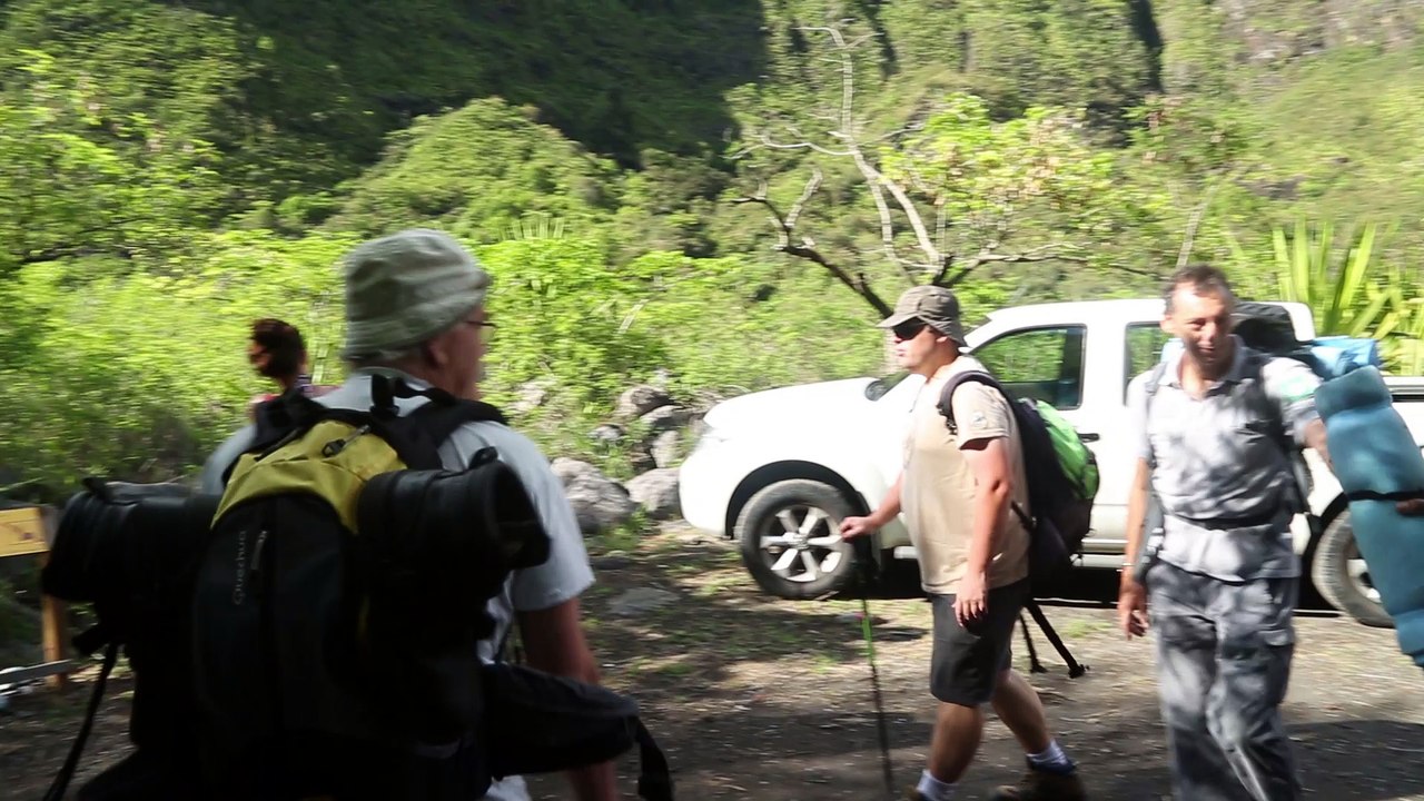La paléoforêt de la Rivière des Galets, île de La Réunion