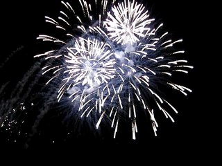 Bibione 2008-25°Septemper Fest-Feuerwerk