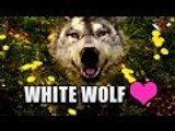 Far Cry Primal | Taming Beasts (White WOLF) - Beast Gameplay