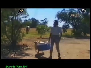 Nuôi 1 đứa mà nhờ dễ sợ nhờ luôn!!