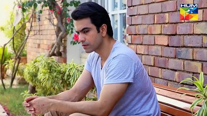 Dil-e-Beqarar Full OST By Hum Tv