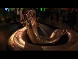 Le Titanoboa, le plus gros serpent ayant jamais existé sur Terre