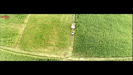 2 Zulfaan - Ali Rajpura _ New Punjabi Songs 2014 _ Official HD Video _ Tune.pk-1