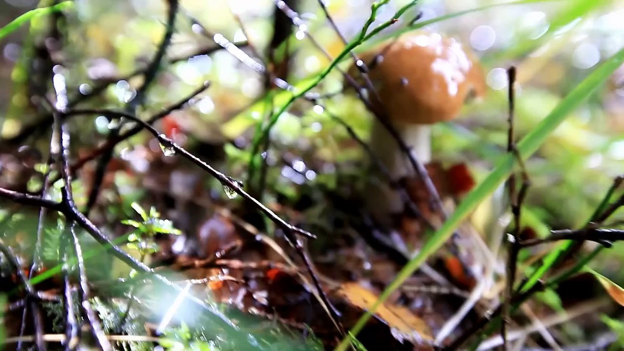 2012-09-23 - Прейкестолен, Норвегия