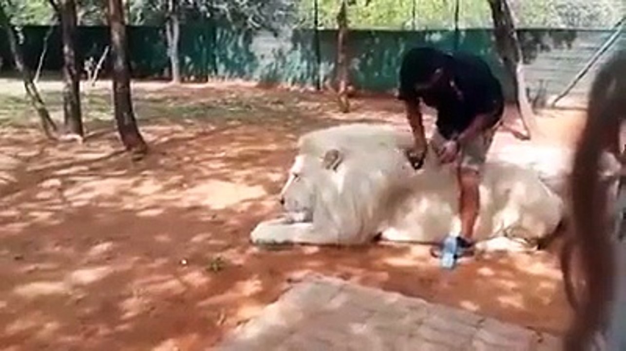 Bathing the Giants