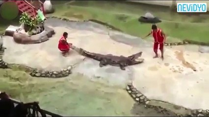 Binlerce kişinin nefesi kesildi! (+18)