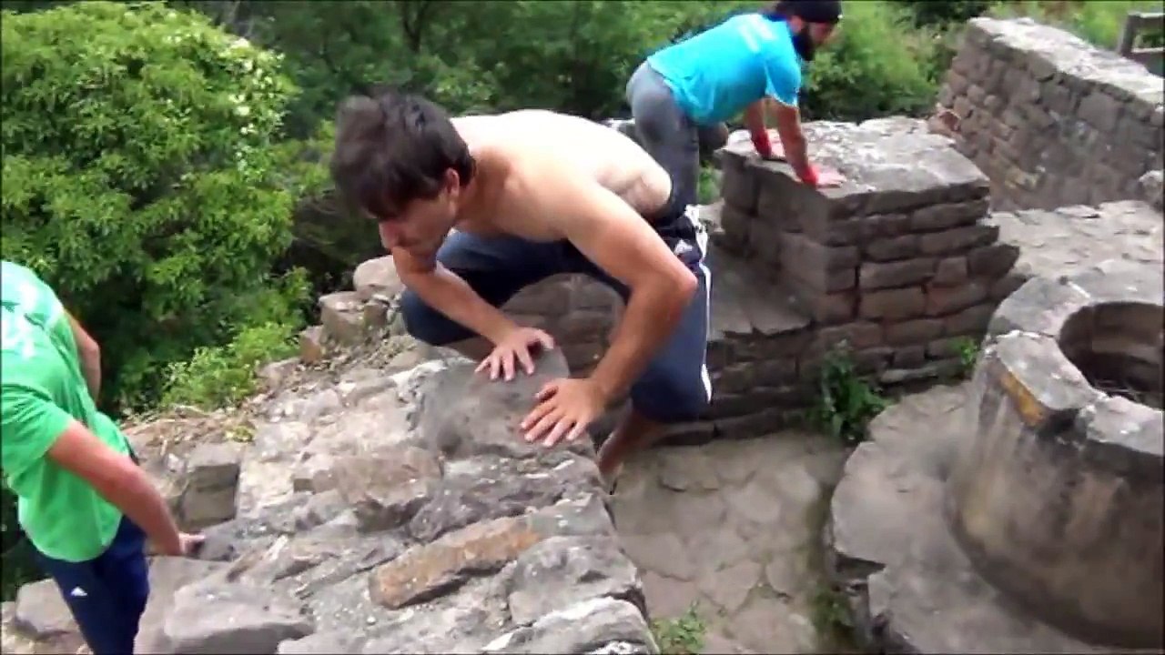 saimiri parkour    27-06-2012   - chateau -