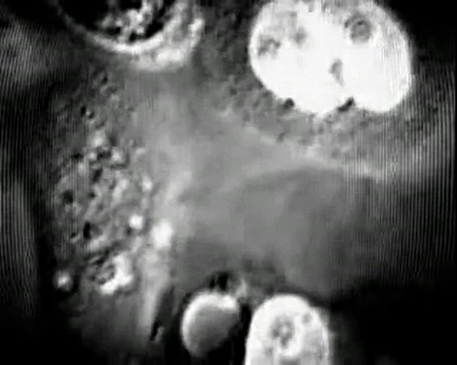 24 Grana Avere una vita davanti (Videoclip Ufficiale)